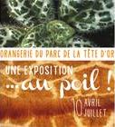 Au poil